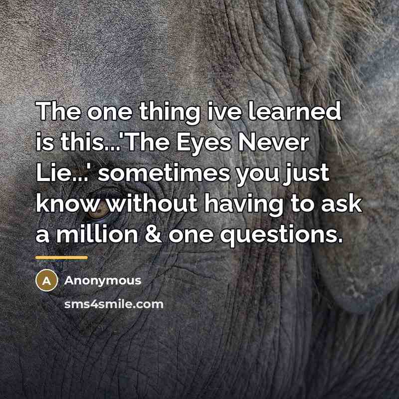 “The one thing ive learned is this...'The Eyes Never Lie...'…” quote by Anonymous