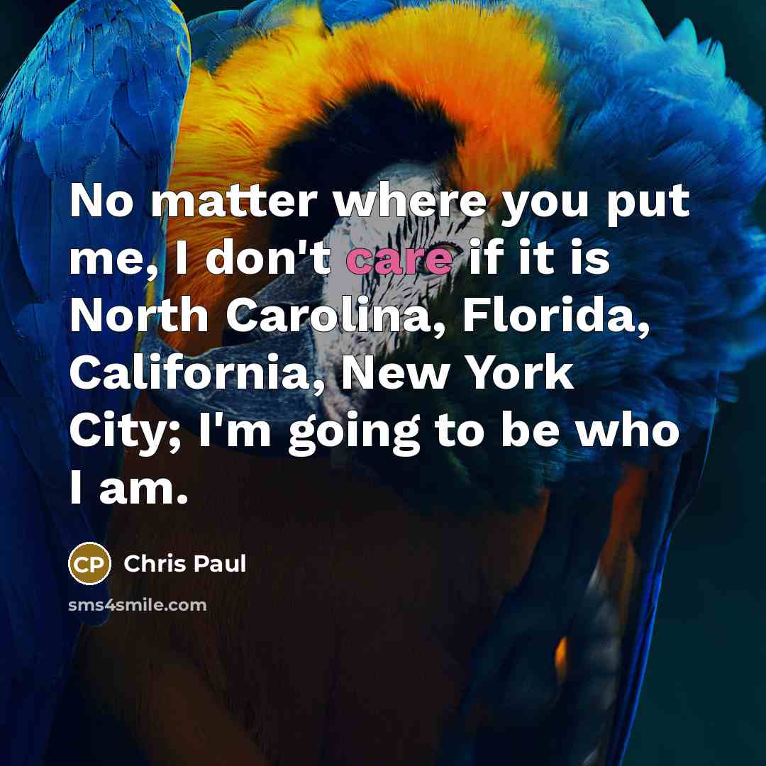 “No matter where you put me, I don't care if…” quote by Chris Paul
