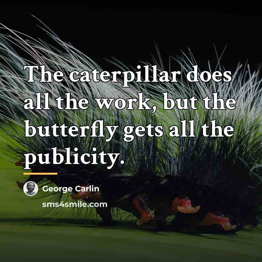 “The caterpillar does all the work, but the butterfly gets…” quote by George Carlin