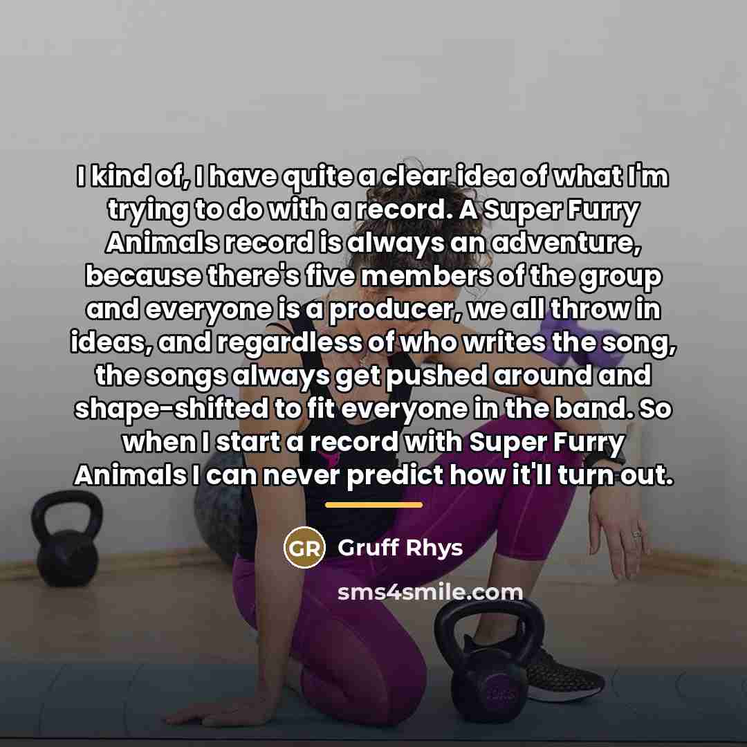 “I kind of, I have quite a clear idea of…” quote by Gruff Rhys