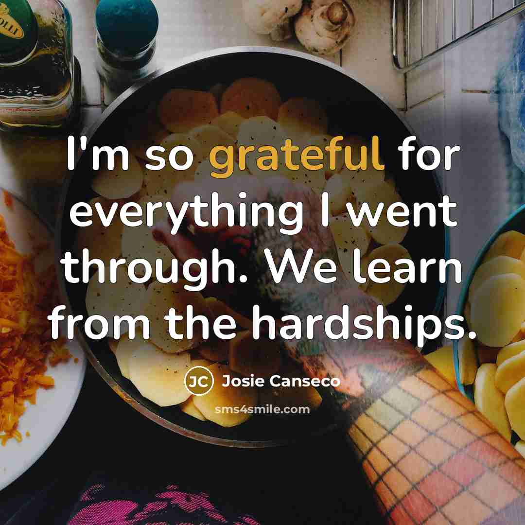 “I'm so grateful for everything I went through. We learn from the hardships.” quote by Josie Canseco