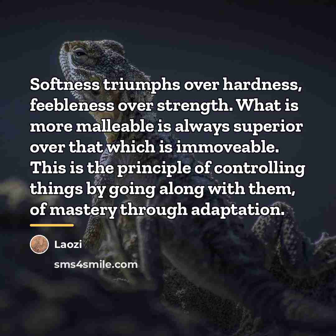 “Softness triumphs over hardness, feebleness over strength. What is more…” quote by Laozi