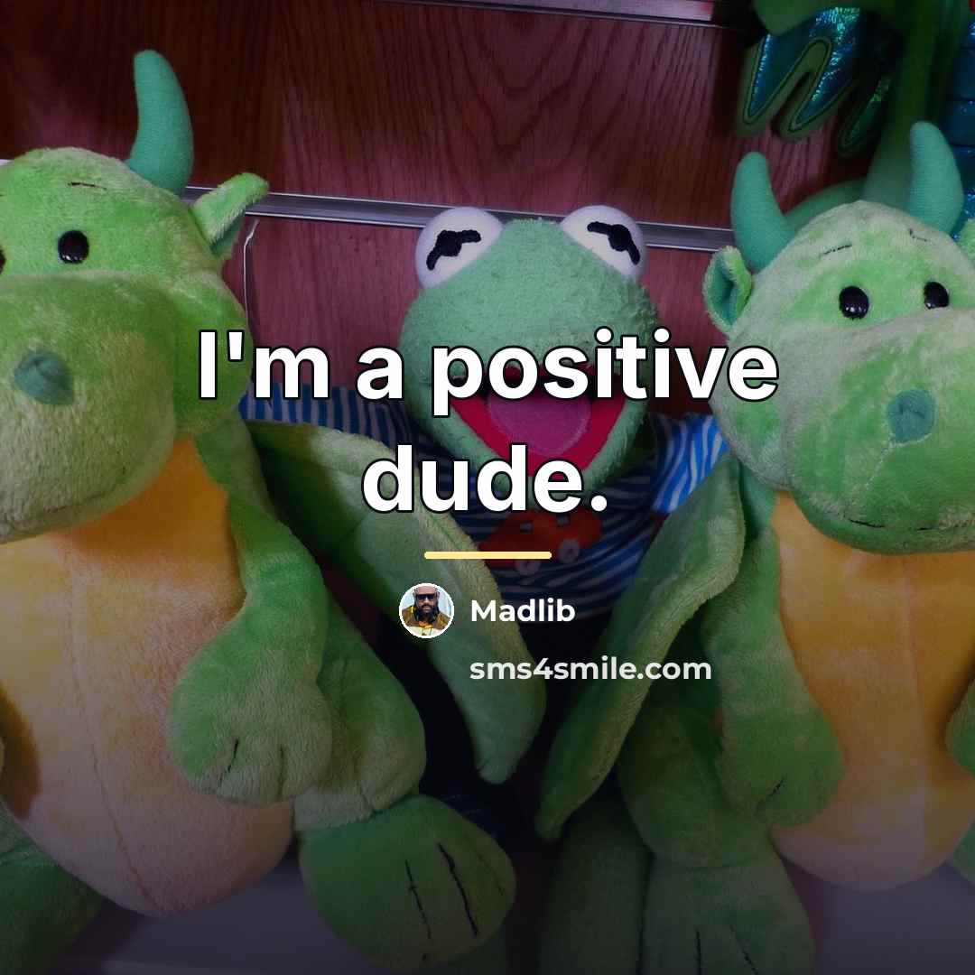 “I'm a positive dude.…” quote by Madlib