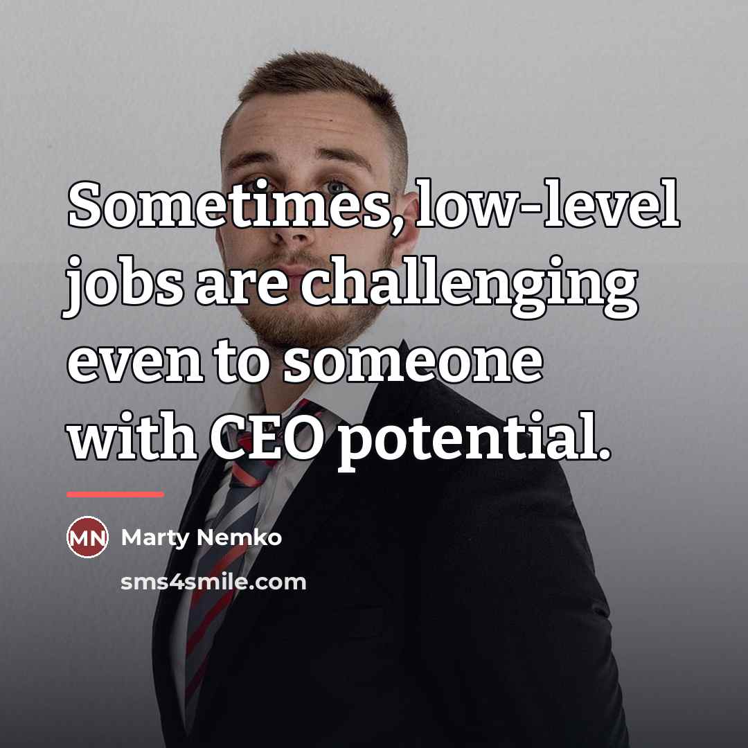 “Sometimes, low-level jobs are challenging even to someone with CEO…” quote by Marty Nemko