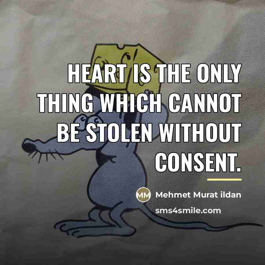 “Heart is the only thing which cannot be stolen without…” quote by Mehmet Murat Ildan