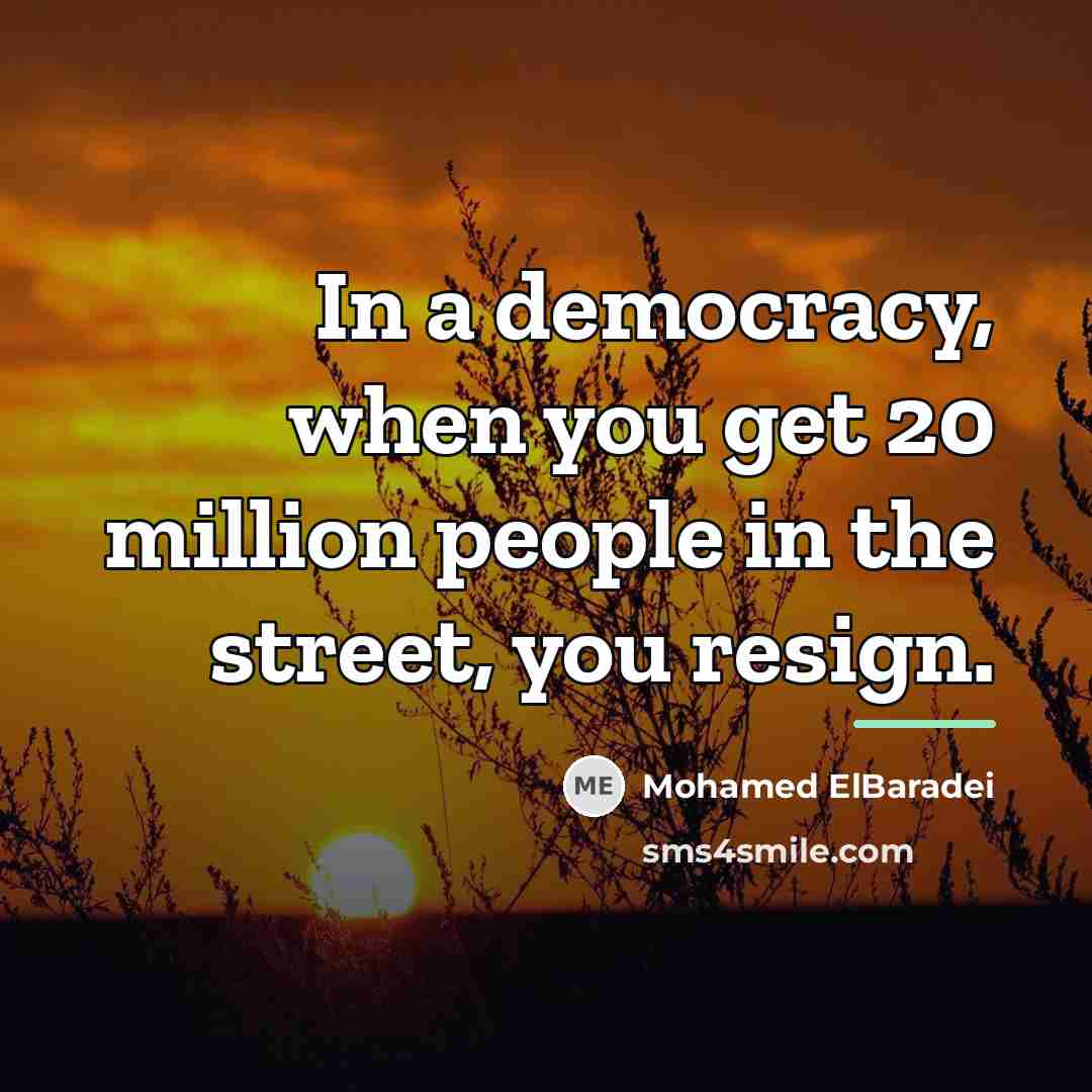 “In a democracy, when you get 20 million people in…” quote by Mohamed ElBaradei