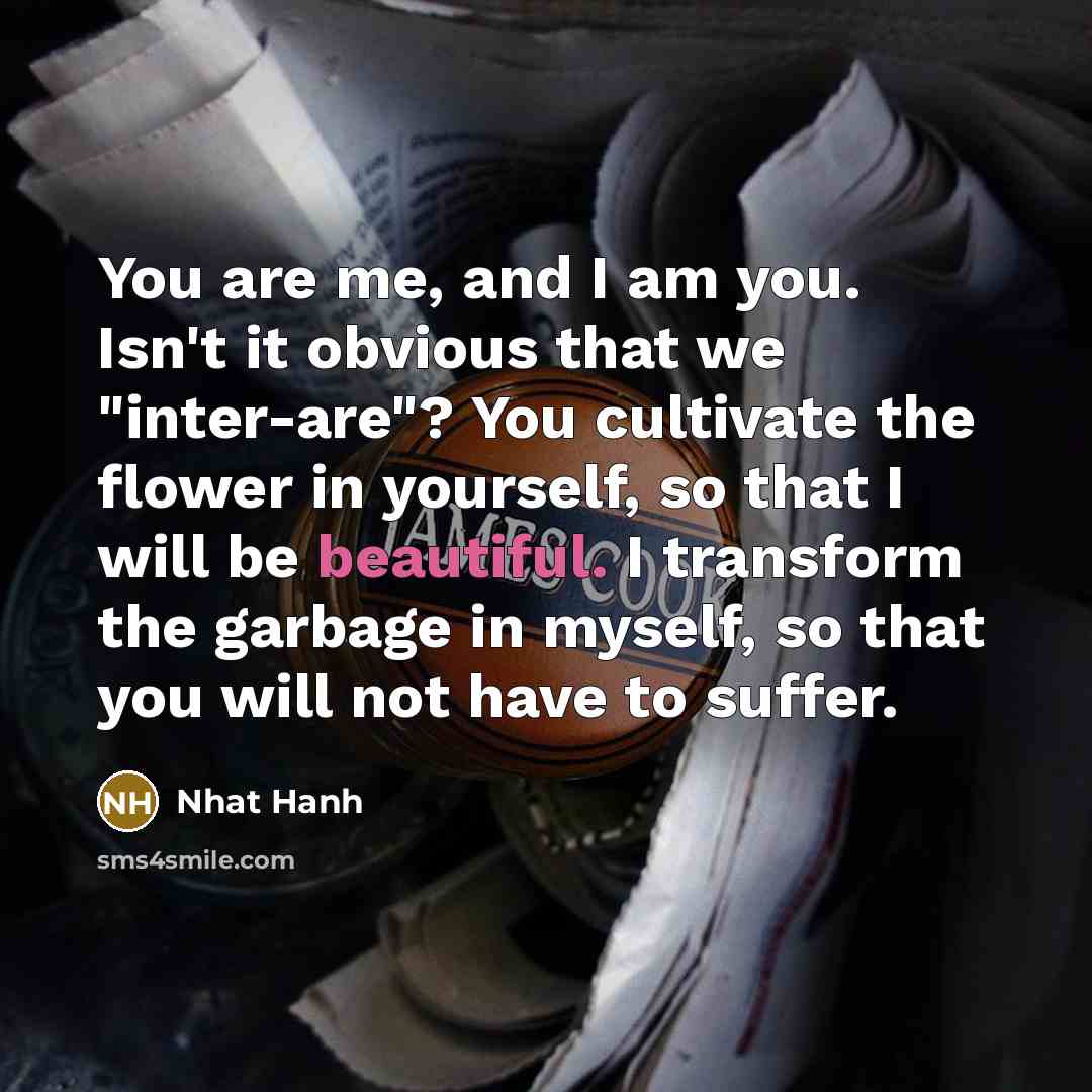 “You are me, and I am you. Isn't it obvious…” quote by Nhat Hanh