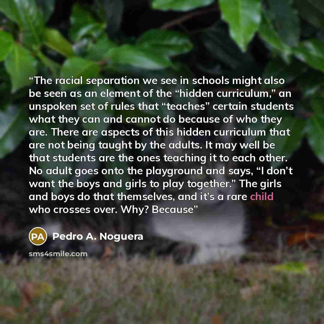“The racial separation we see in schools might also be seen as an element of the “hidden curriculum,” an unspoken set of rules that “teaches” certain students what they can and cannot do because of who they are. There are aspects of this hidden curriculum that are not being taught by the adults. It…” quote by Pedro A. Noguera