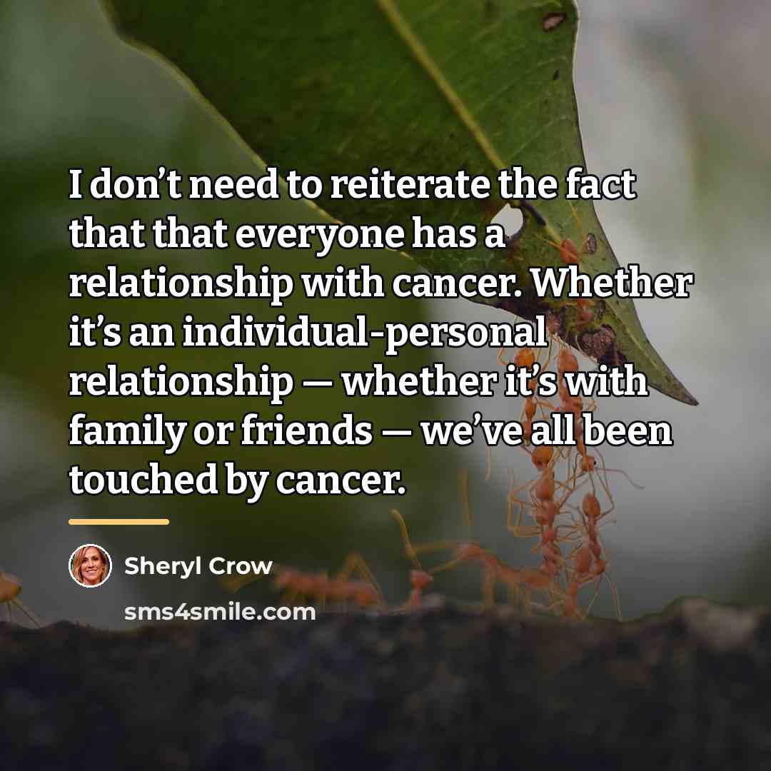 “I don’t need to reiterate the fact that that everyone…” quote by Sheryl Crow