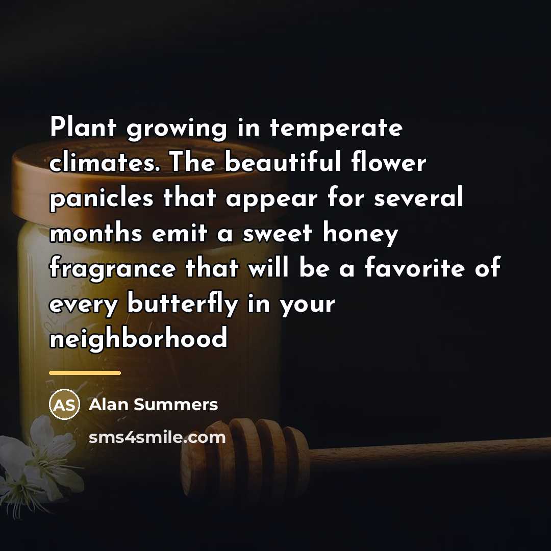 “Plant growing in temperate climates. The beautiful flower panicles that…” quote by Alan Summers