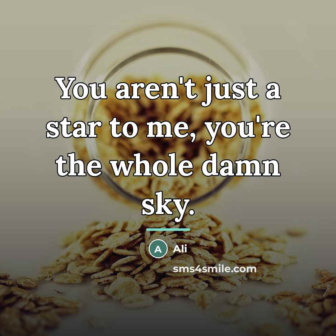 “You aren't just a star to me, you're the whole…” quote by Ali