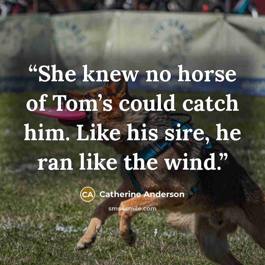 “She knew no horse of Tom’s could catch him. Like his sire, he ran like the wind.” quote by Catherine Anderson