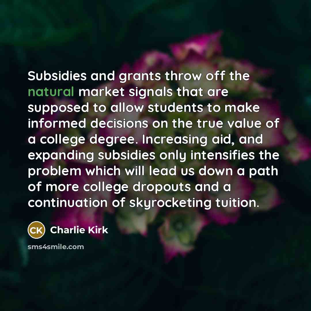 “Subsidies and grants throw off the natural market signals that…” quote by Charlie Kirk