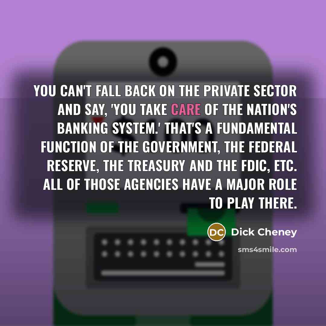 “You can't fall back on the private sector and say,…” quote by Dick Cheney