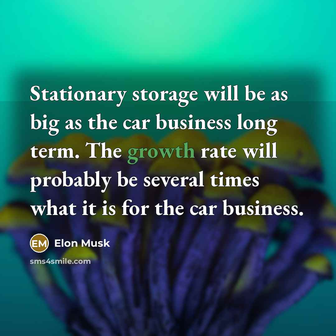 “Stationary storage will be as big as the car business…” quote by Elon Musk