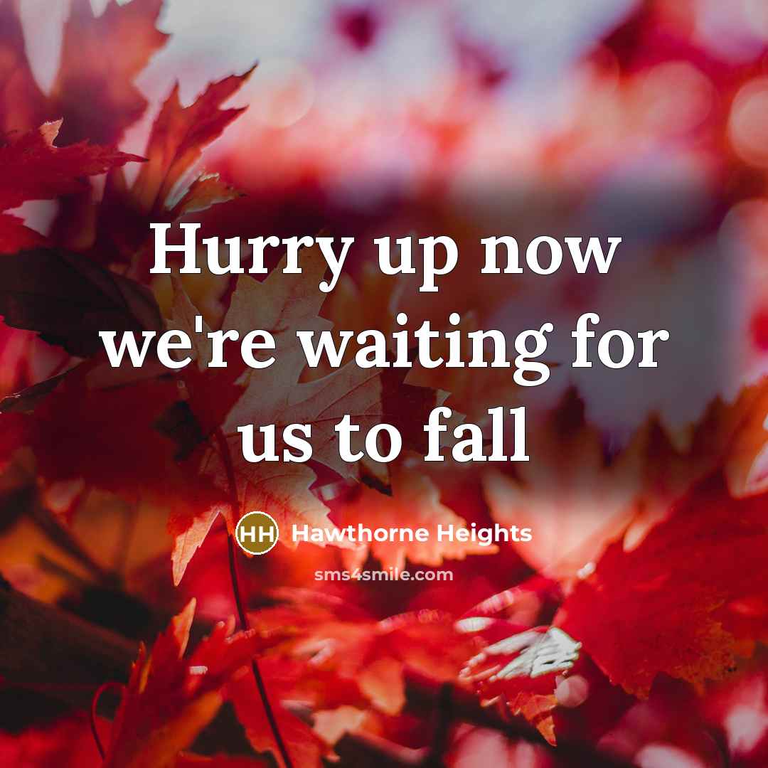 “Hurry up now we're waiting for us to fall…” quote by Hawthorne Heights