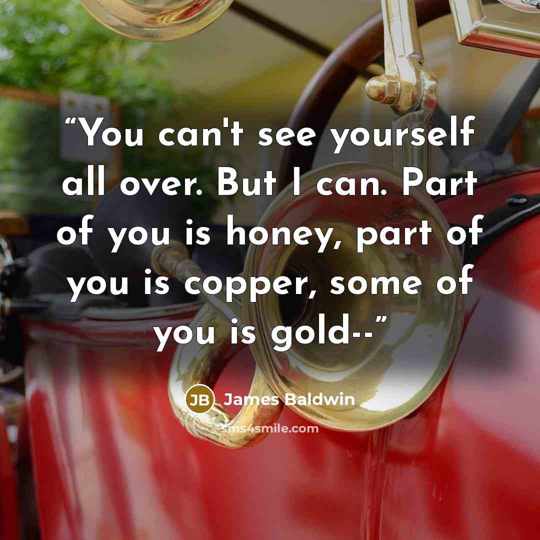 “You can't see yourself all over. But I can. Part of you is honey, part of you is copper, some of you is gold--” quote by James Baldwin