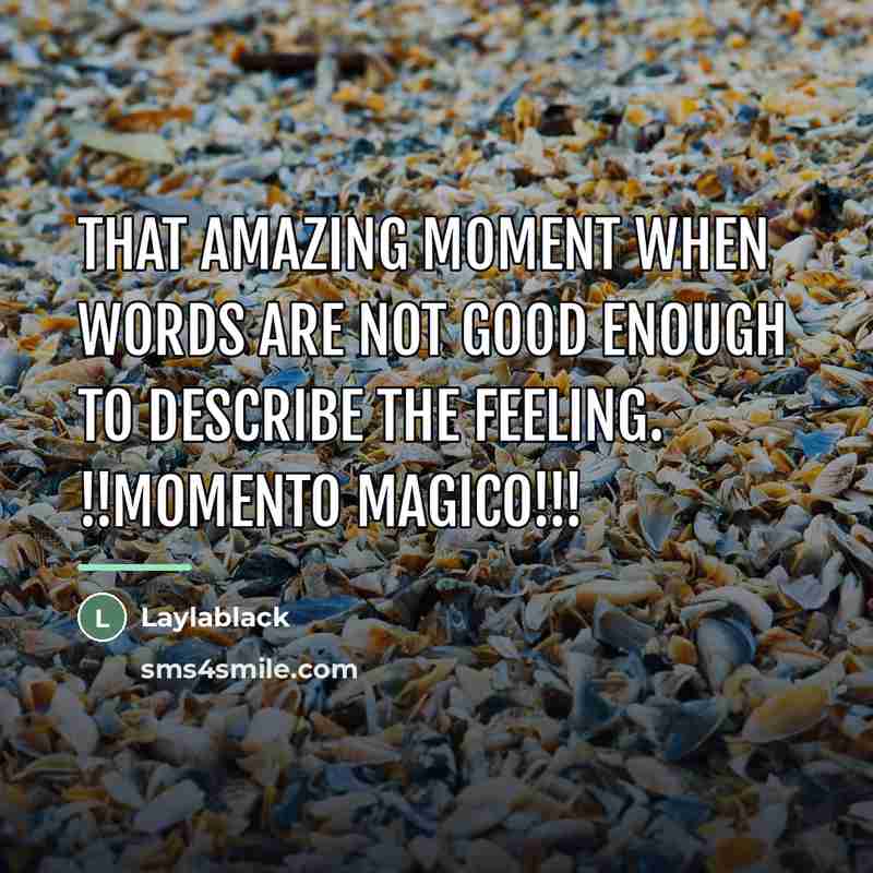 “That amazing moment when words are not good enough to…” quote by Laylablack