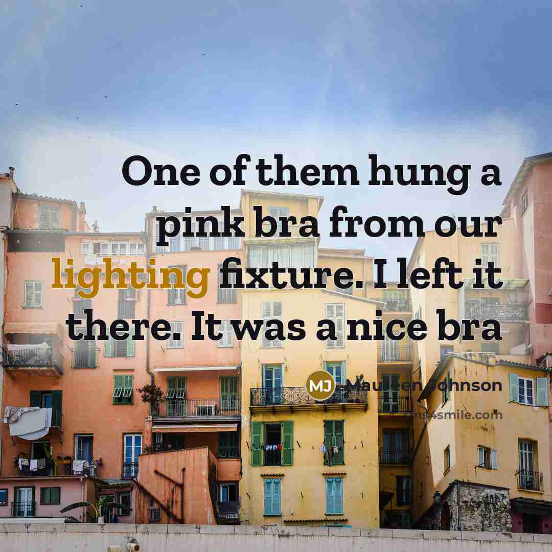“One of them hung a pink bra from our lighting…” quote by Maureen Johnson