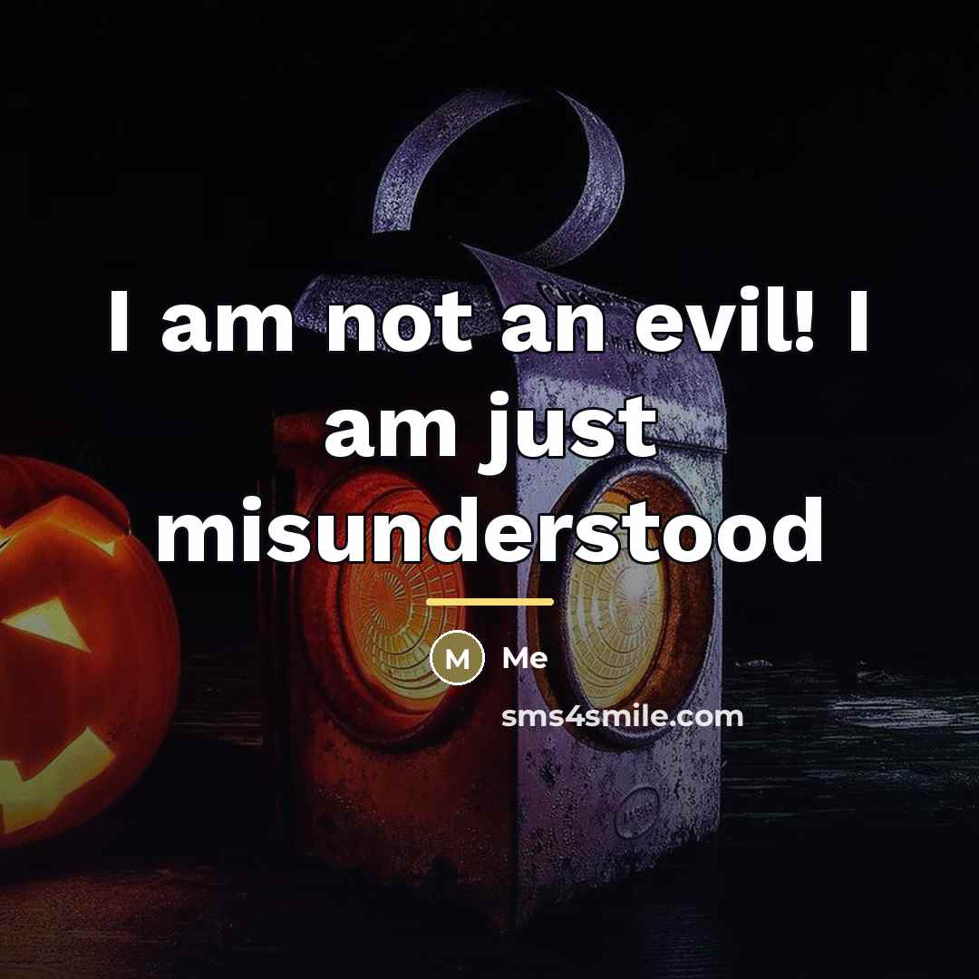 “I am not an evil! I am just misunderstood…” quote by Me