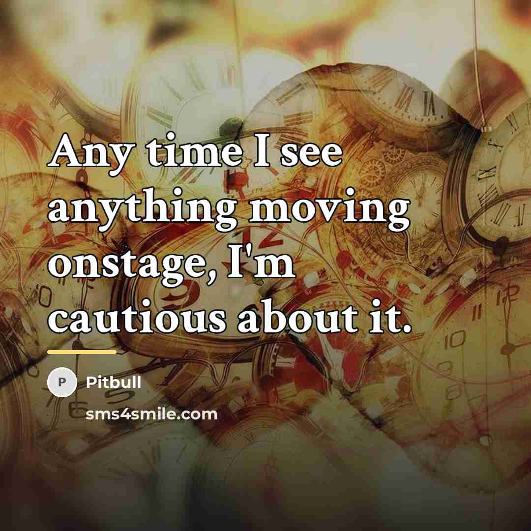 “Any time I see anything moving onstage, I'm cautious about…” quote by Pitbull
