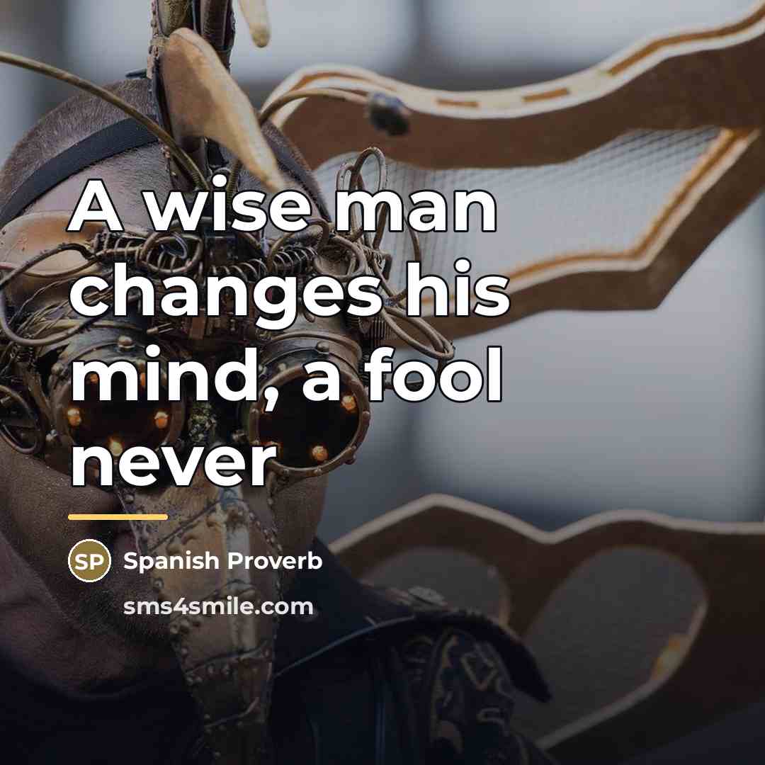 “A wise man changes his mind, a fool never…” quote by Spanish Proverb