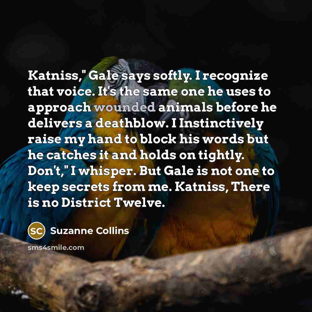 “Katniss," Gale says softly. I recognize that voice. It's the…” quote by Suzanne Collins
