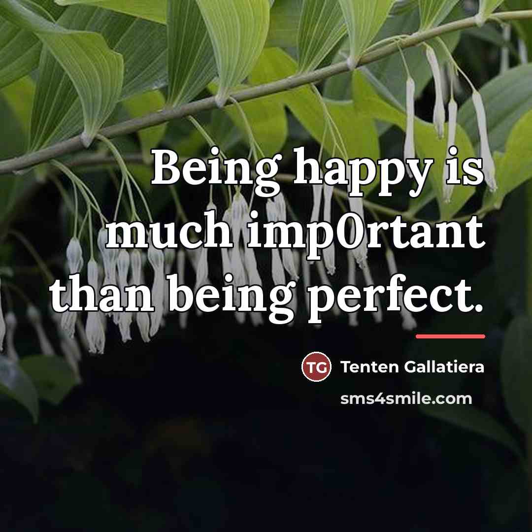 “Being happy is much imp0rtant than being perfect.…” quote by Tenten Gallatiera
