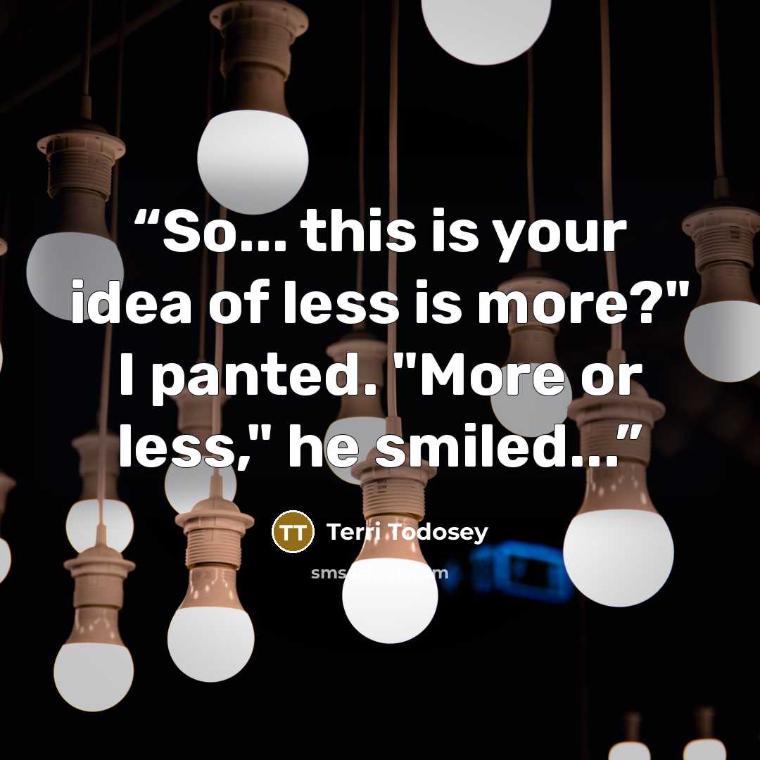 “So... this is your idea of less is more?" I panted. "More or less," he smiled...” quote by Terri Todosey