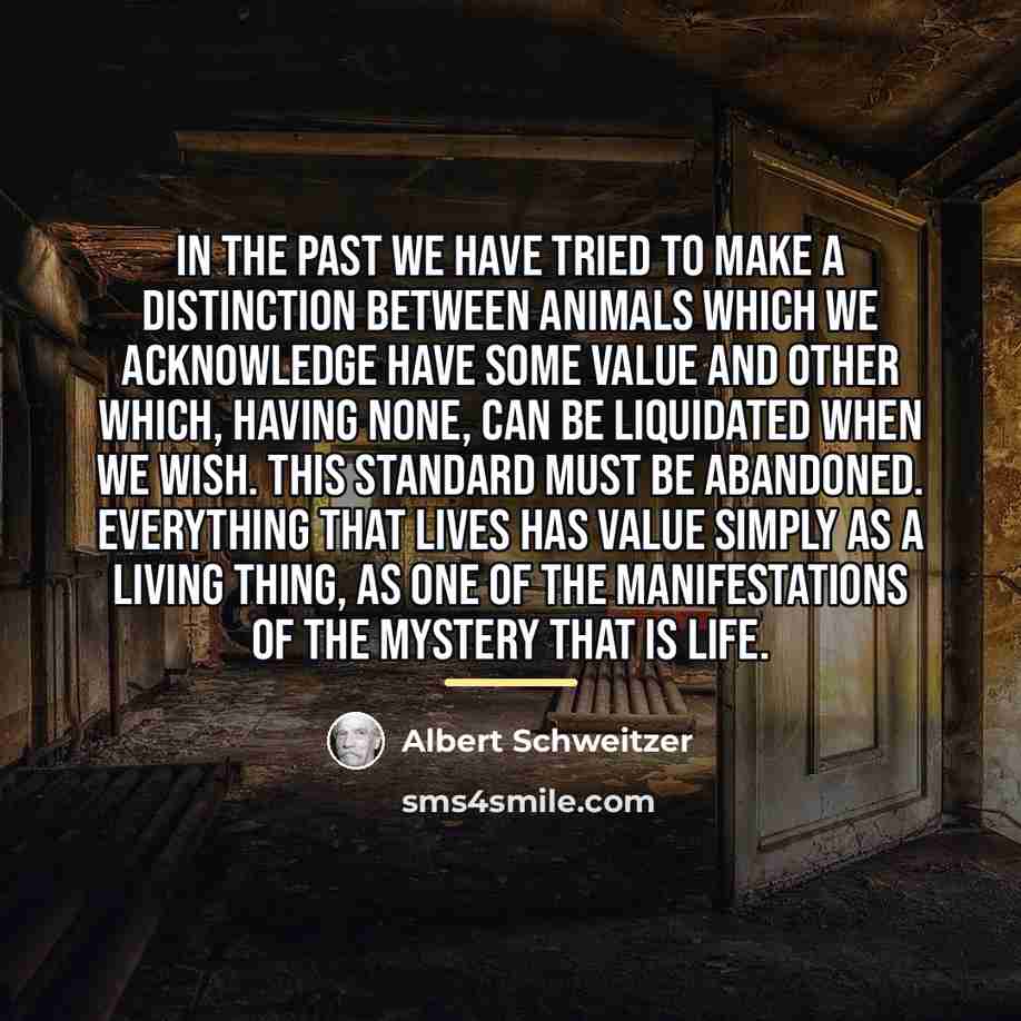 “In the past we have tried to make a distinction…” quote by Albert Schweitzer