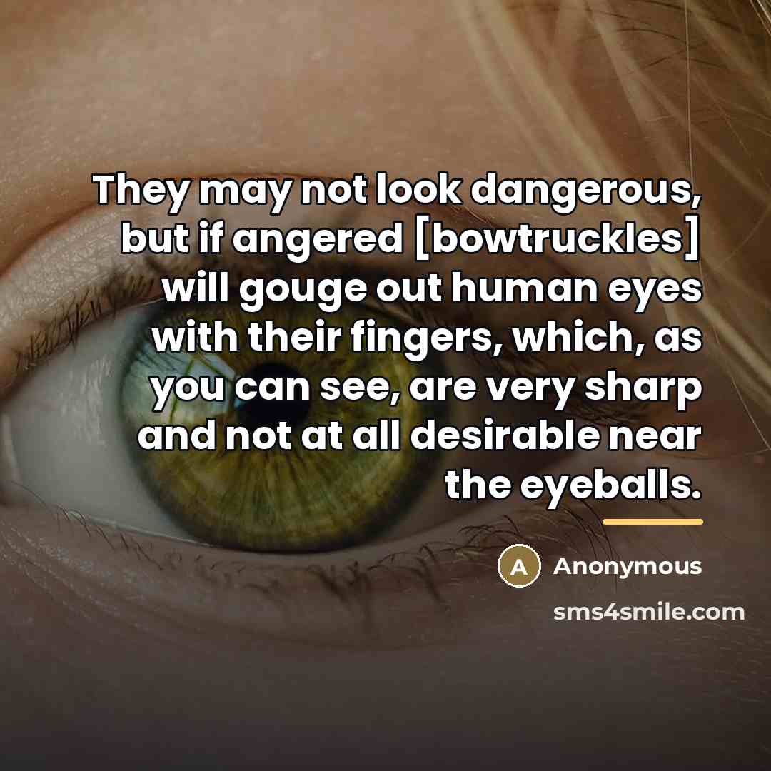 “They may not look dangerous, but if angered [bowtruckles] will…” quote by Anonymous