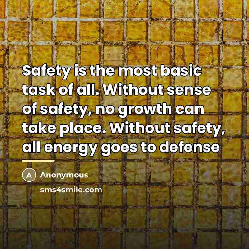 “Safety is the most basic task of all. Without sense…” quote by Anonymous