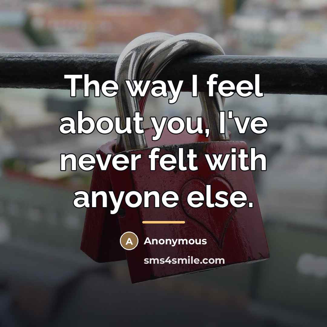 “The way I feel about you, I've never felt with…” quote by Anonymous