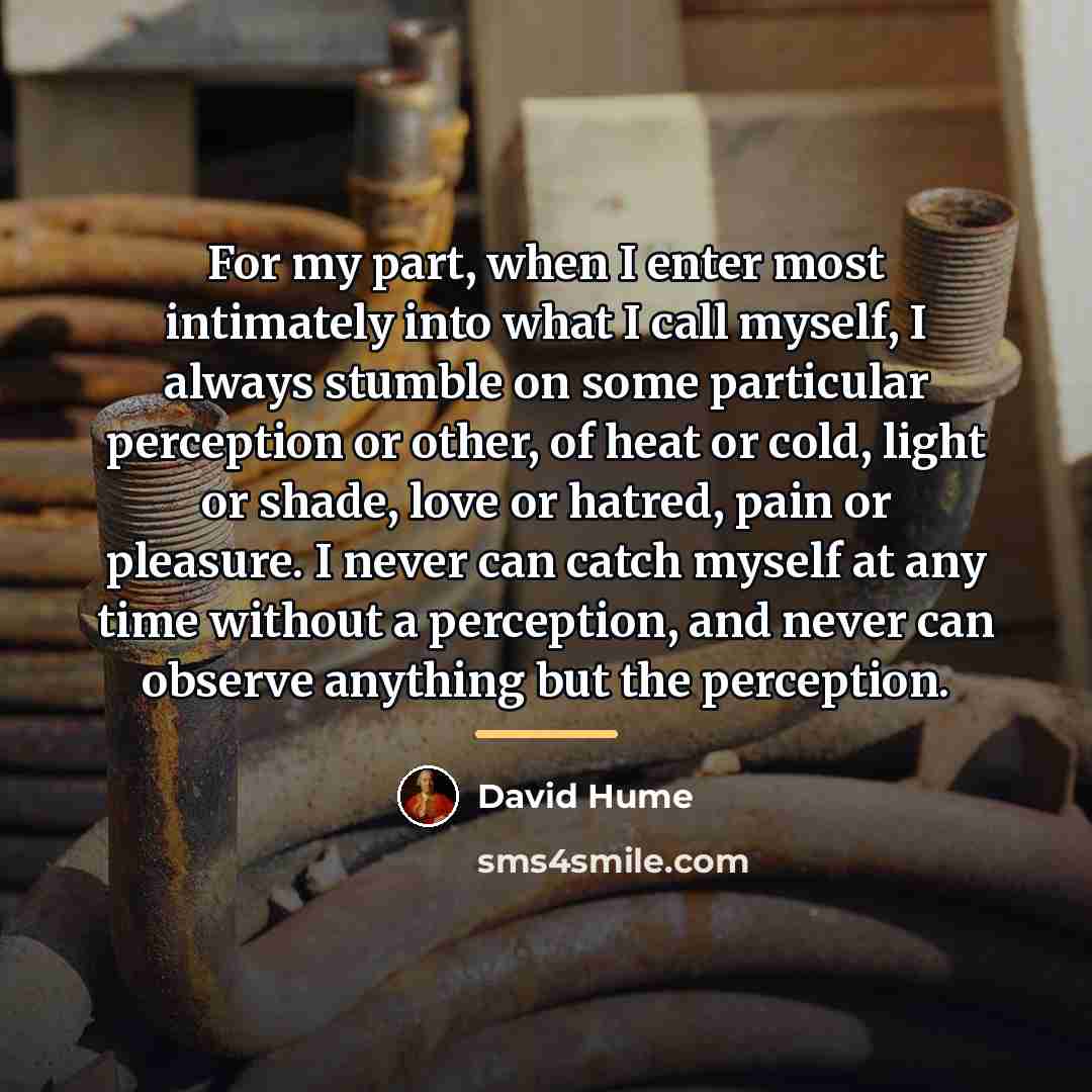 “For my part, when I enter most intimately into what…” quote by David Hume