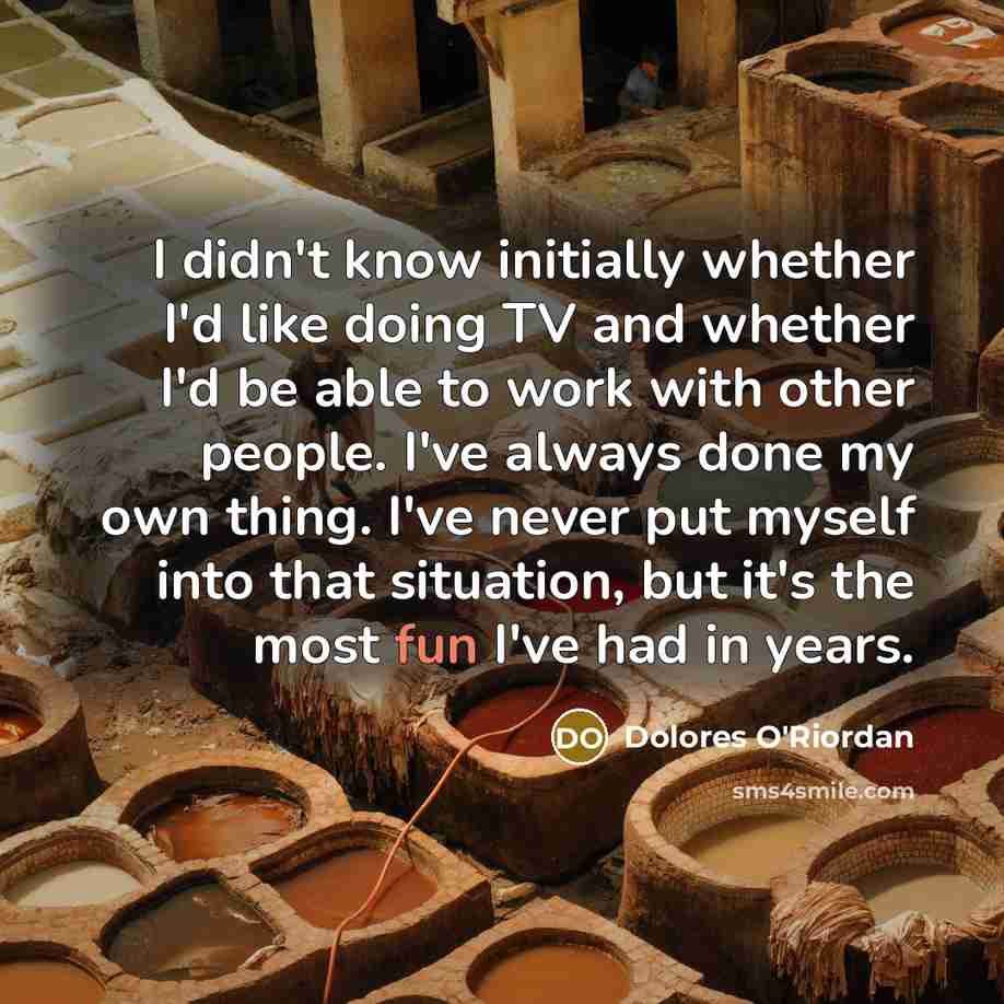 “I didn't know initially whether I'd like doing TV and…” quote by Dolores O'Riordan