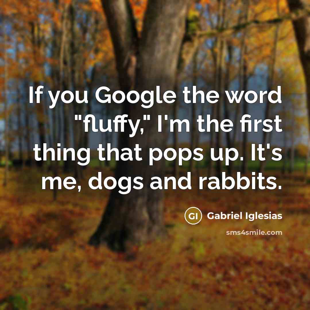 “If you Google the word "fluffy," I'm the first thing…” quote by Gabriel Iglesias