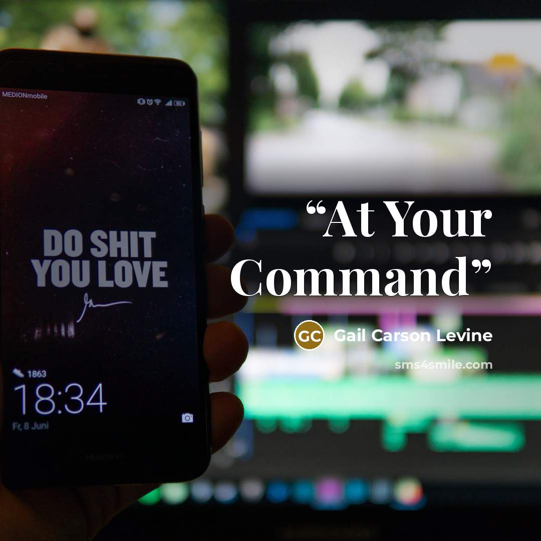 “At Your Command” quote by Gail Carson Levine