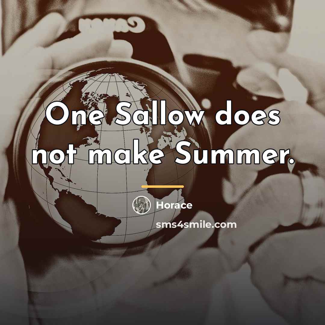 “One Sallow does not make Summer.…” quote by Horace