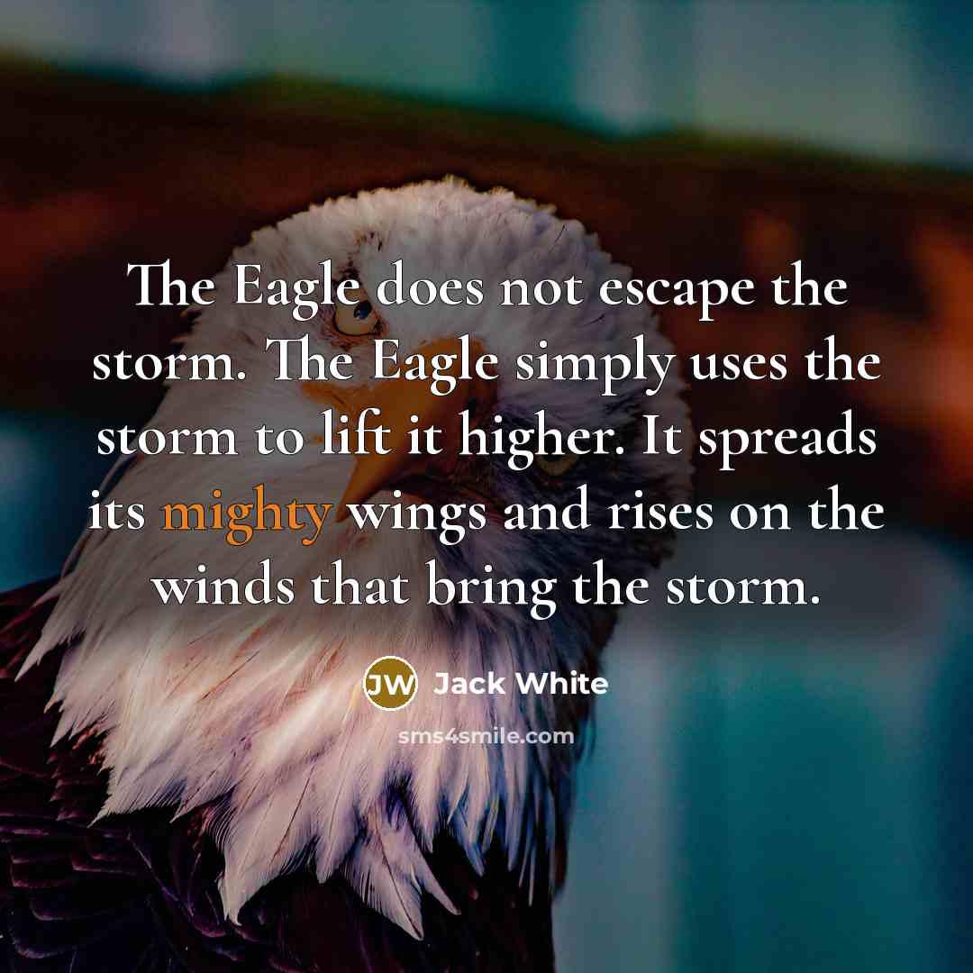 “The Eagle does not escape the storm. The Eagle simply uses the storm to lift it higher. It spreads its mighty wings and rises on the winds that bring the storm.” quote by Jack White