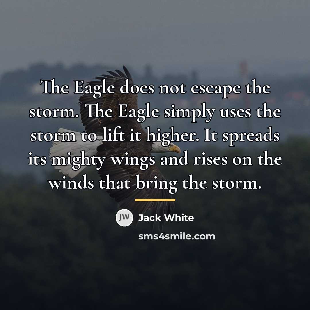 “The Eagle does not escape the storm. The Eagle simply…” quote by Jack White