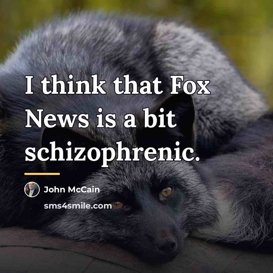 “I think that Fox News is a bit schizophrenic.…” quote by John McCain