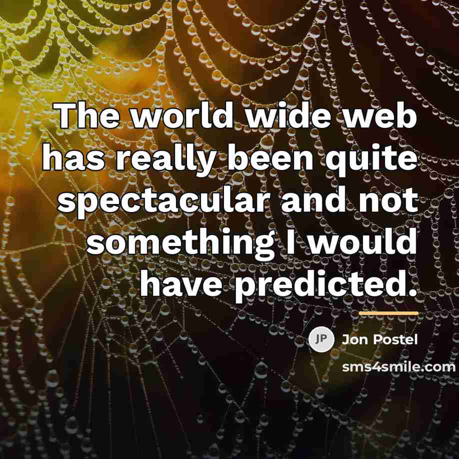 “The world wide web has really been quite spectacular and…” quote by Jon Postel