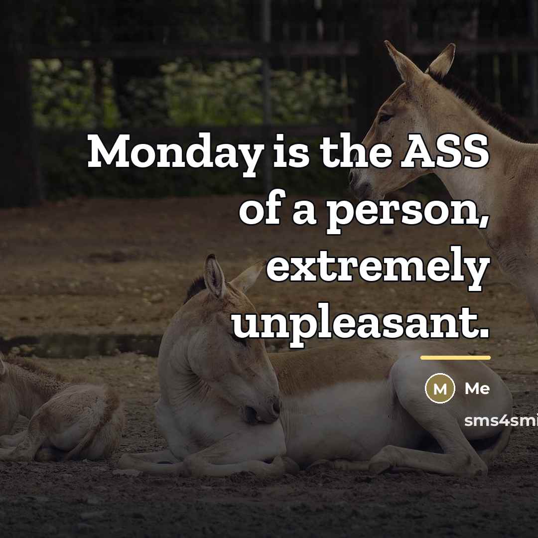 “Monday is the ASS of a person, extremely unpleasant.…” quote by Me
