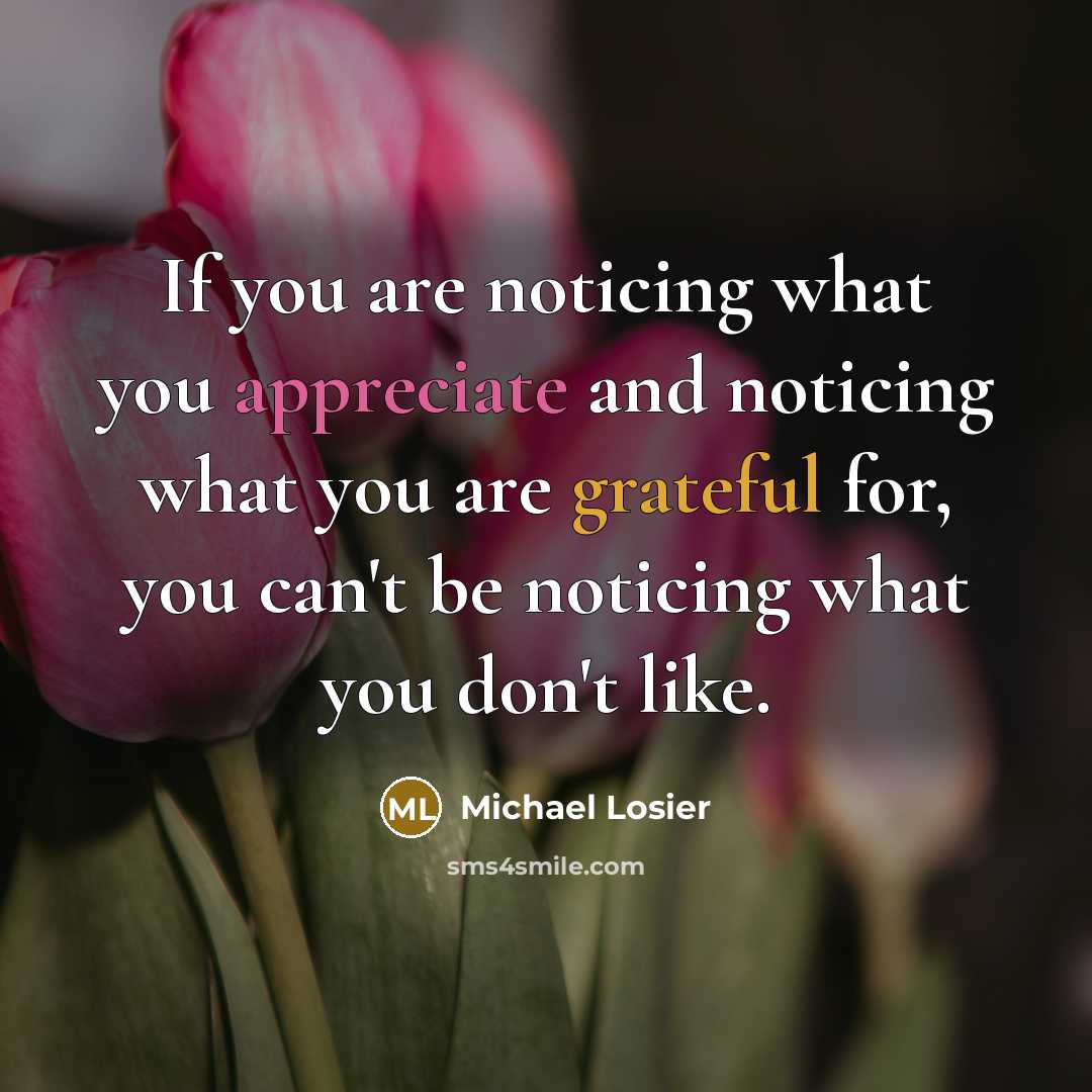 “If you are noticing what you appreciate and noticing what…” quote by Michael Losier