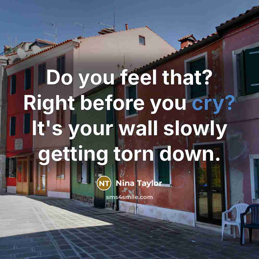 “Do you feel that? Right before you cry? It's your wall slowly getting torn down.” quote by Nina Taylor