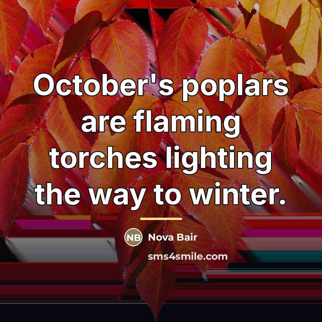 “October's poplars are flaming torches lighting the way to winter.…” quote by Nova Bair