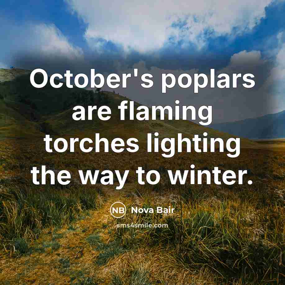 “October's poplars are flaming torches lighting the way to winter.” quote by Nova Bair