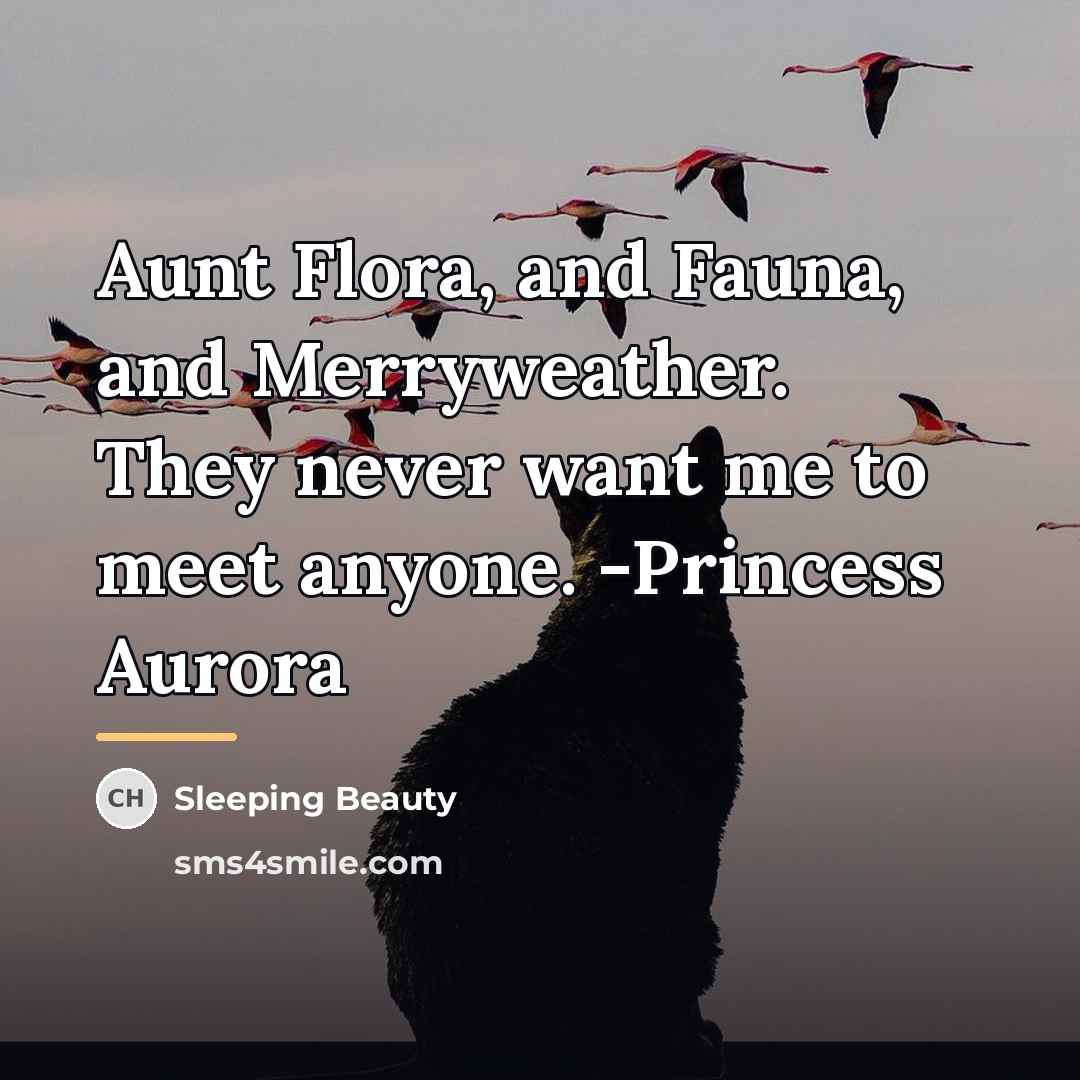 “Aunt Flora, and Fauna, and Merryweather. They never want me…” quote by Sleeping Beauty