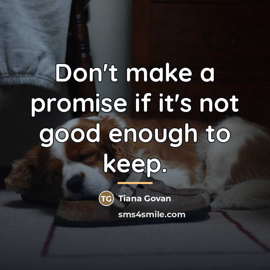 “Don't make a promise if it's not good enough to…” quote by Tiana Govan