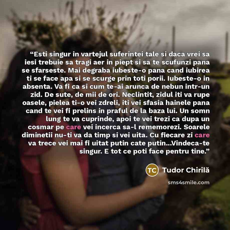 “Esti singur in vartejul suferintei tale si daca vrei sa iesi trebuie sa tragi aer in piept si sa te scufunzi pana se sfarseste. Mai degraba iubeste-o pana cand iubirea ti se face apa si se scurge prin toti porii. Iubeste-o in absenta. Va fi ca si cum te-ai arunca de nebun intr-un zid. De sute, de…” quote by Tudor Chirilă